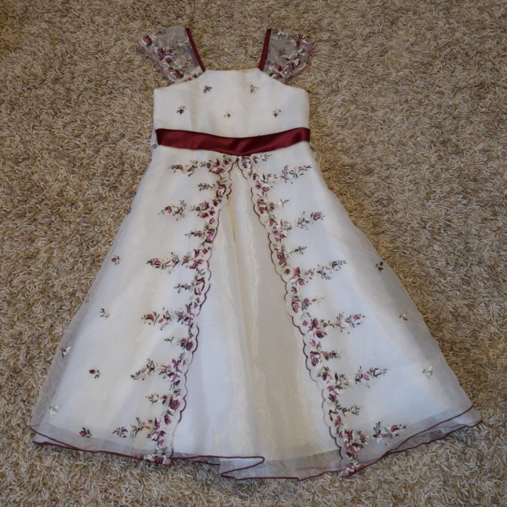 Girls Christmas Dress / Flower girl dress